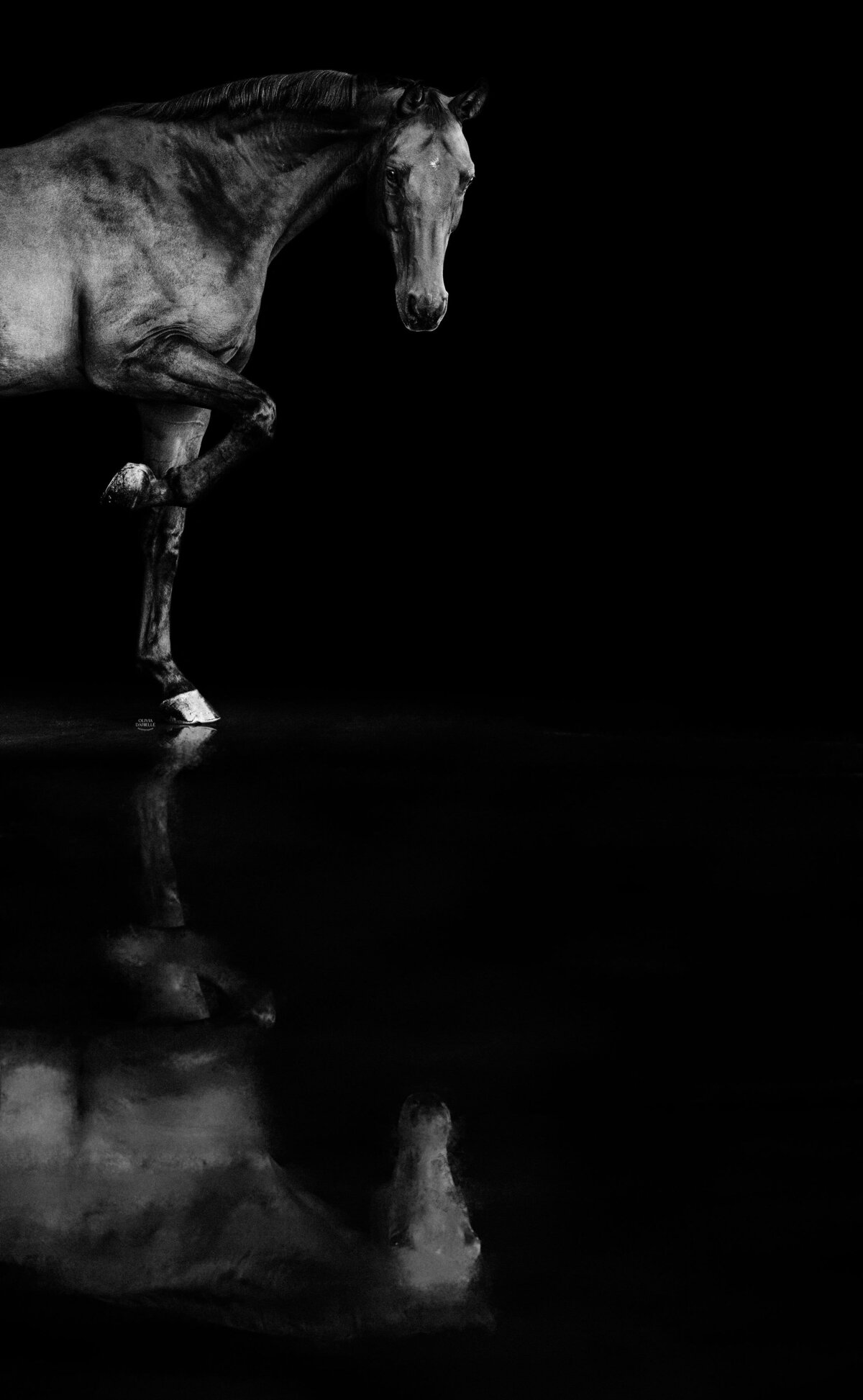 Fine Art (17)