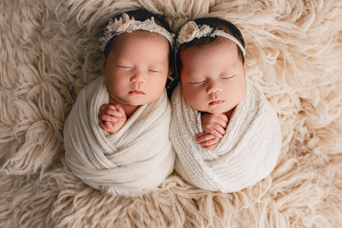 newborn twins in hamilton photography studio