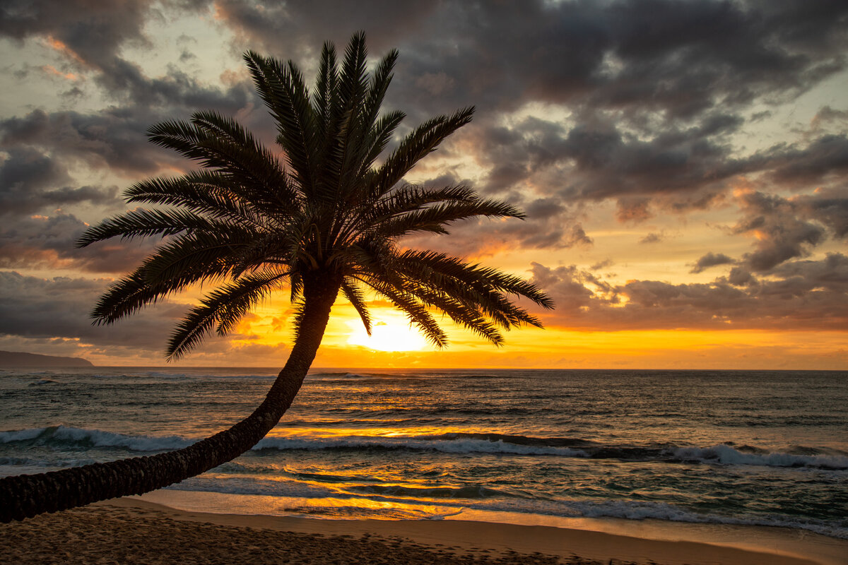 2018-10-4-275A7537-sunset-beach