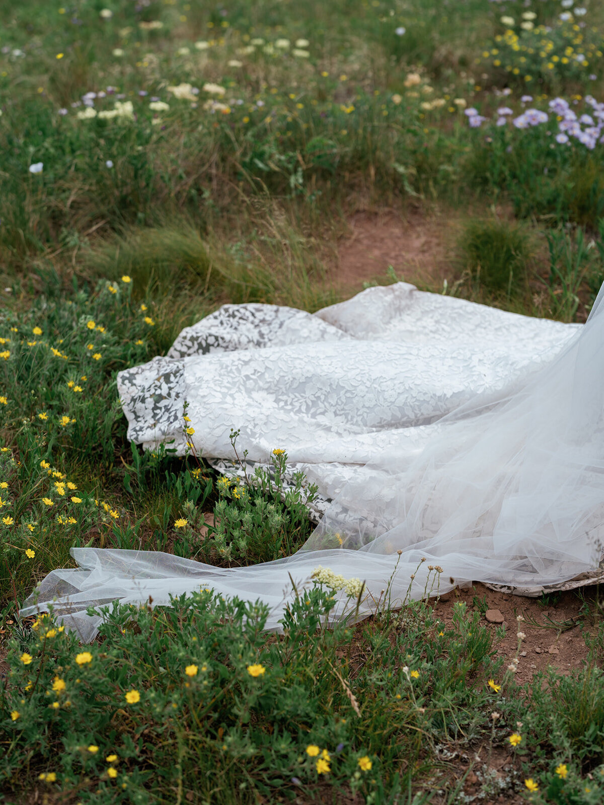LaurenCorbinWeddingPreviews20