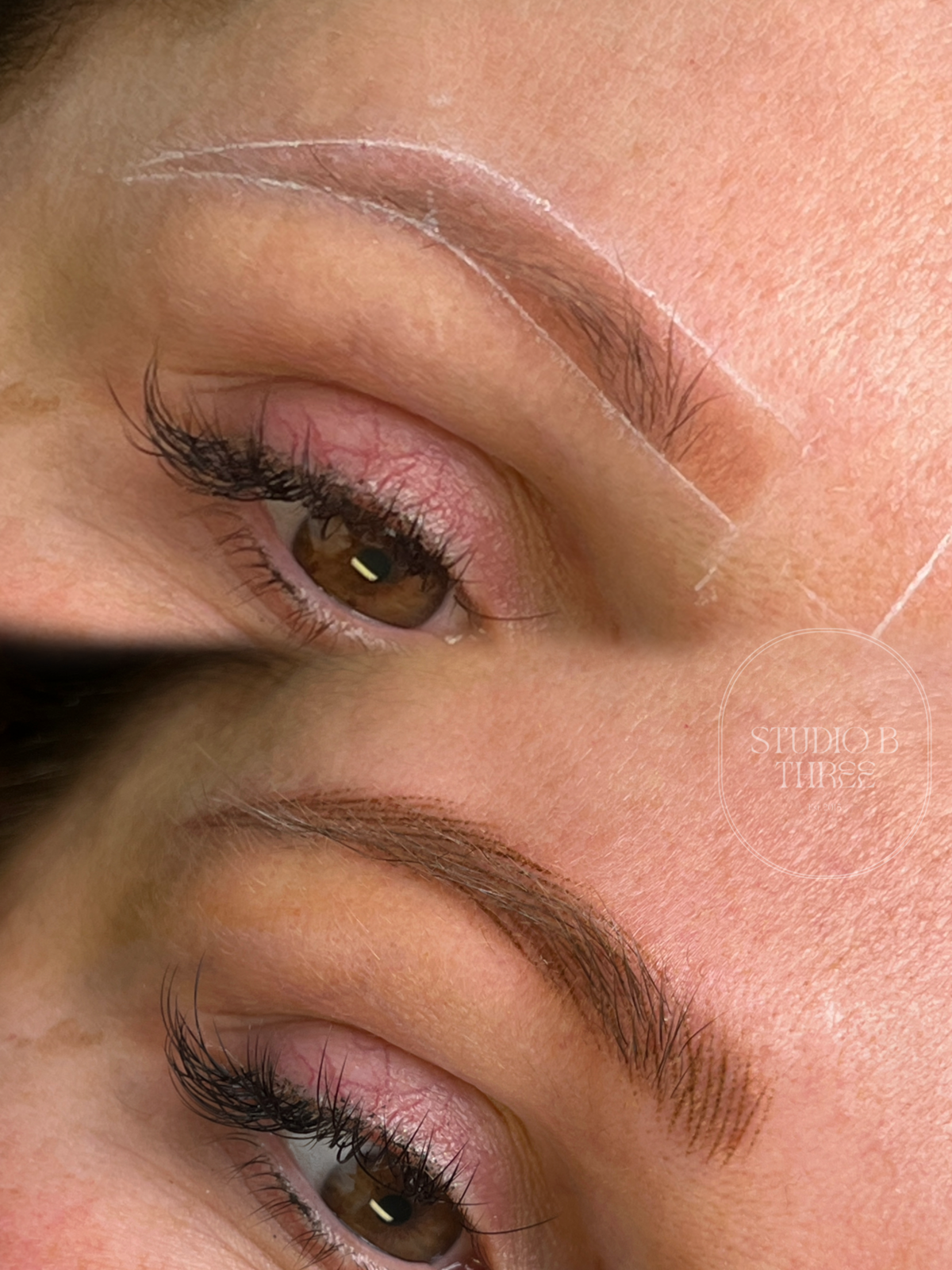 8E49908A-1273-4828-9B81-3575ECA83348