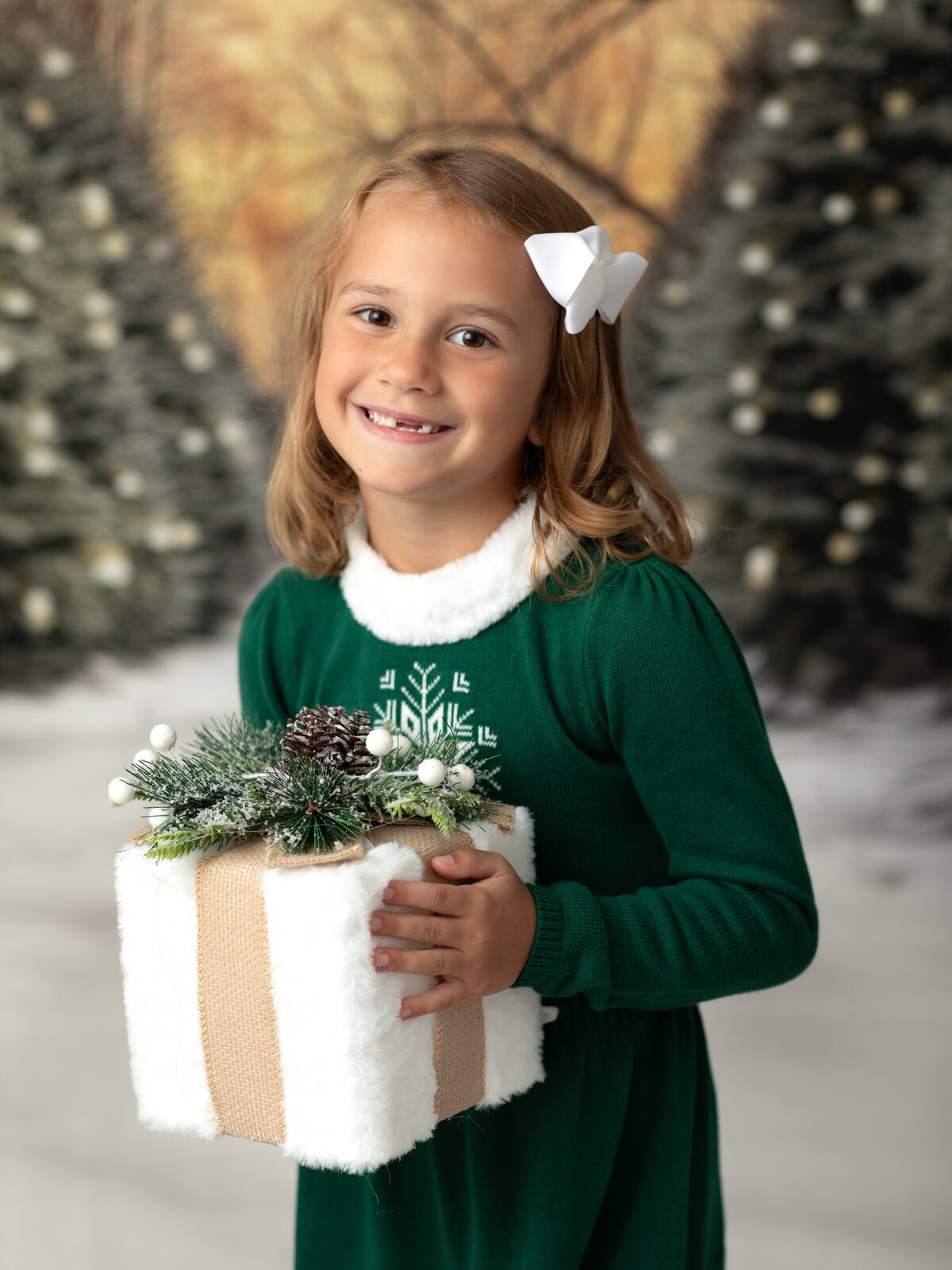 cleveland-christmas-minis-19