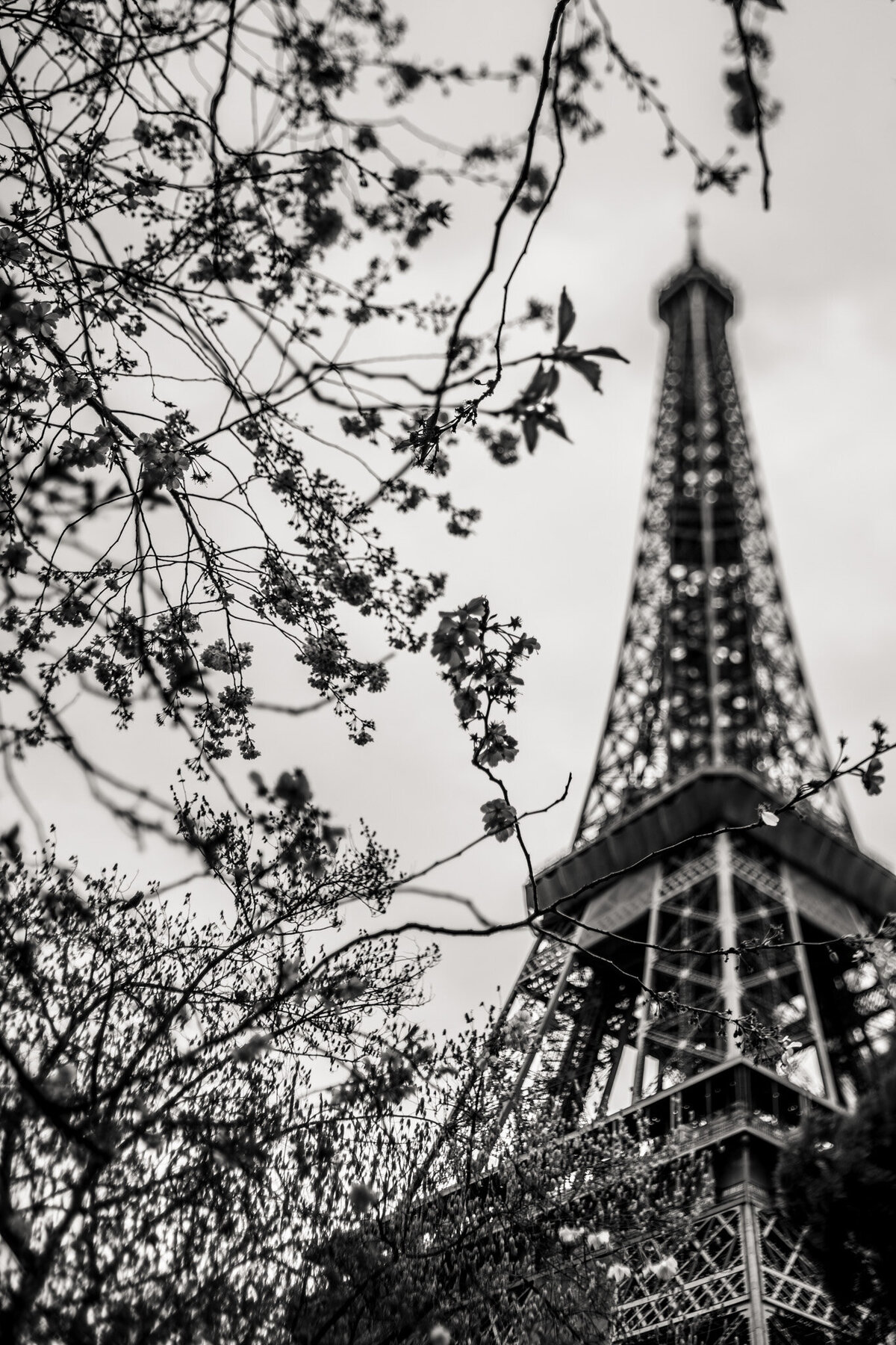 fine_art_photographer _136