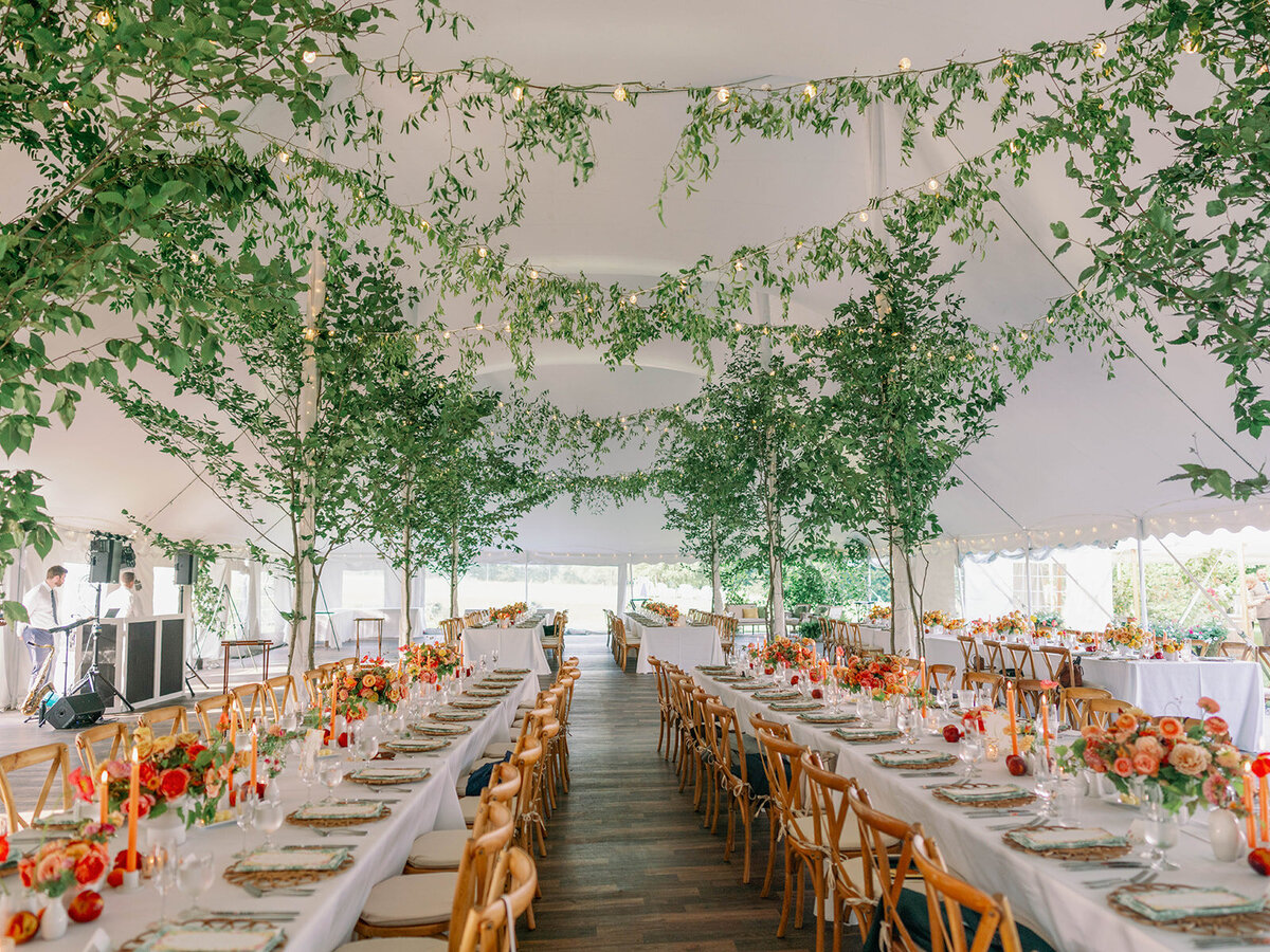 Monika & Calum-Liz Andolina Photography-1129