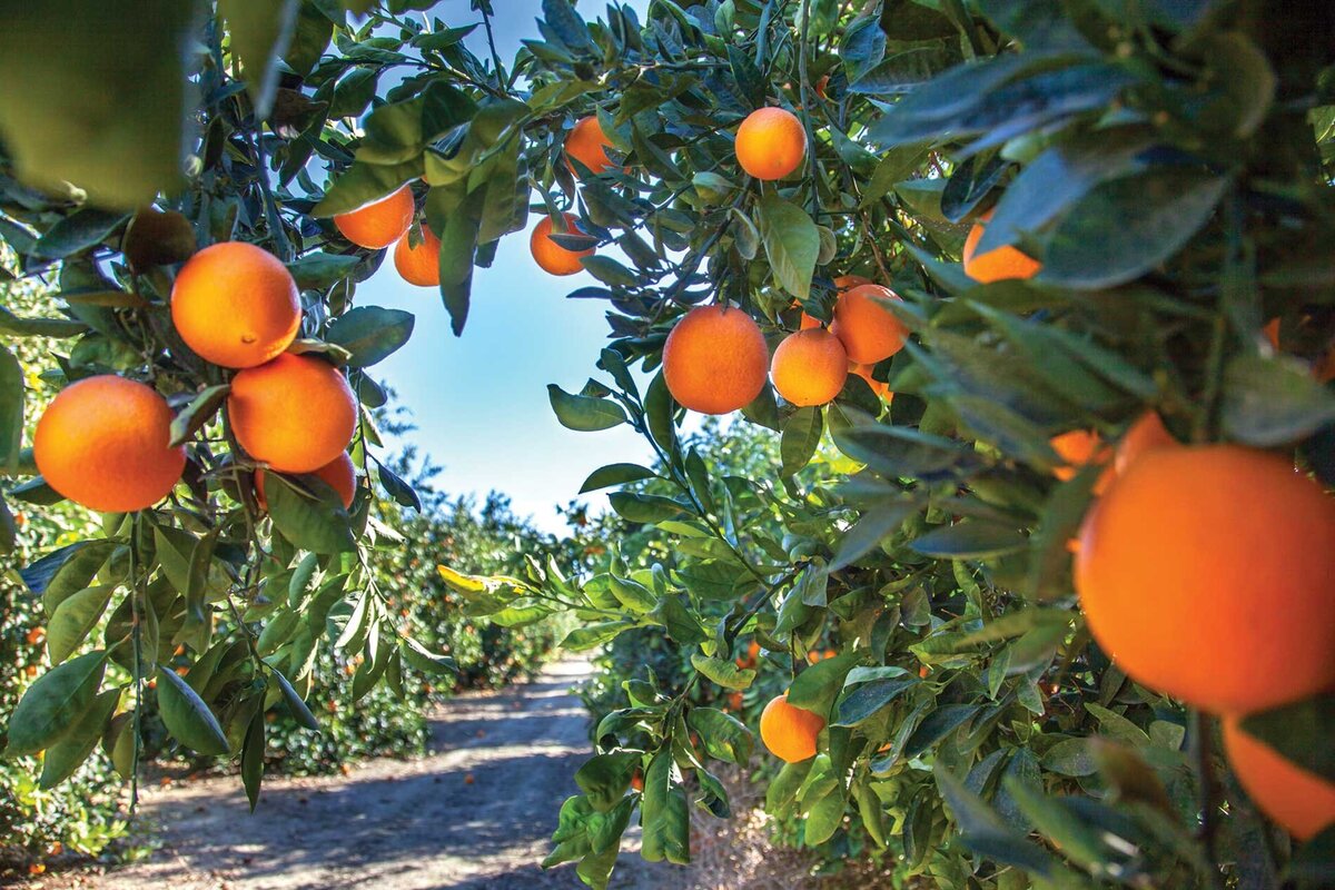 history-of-southwest-orange-county-florida