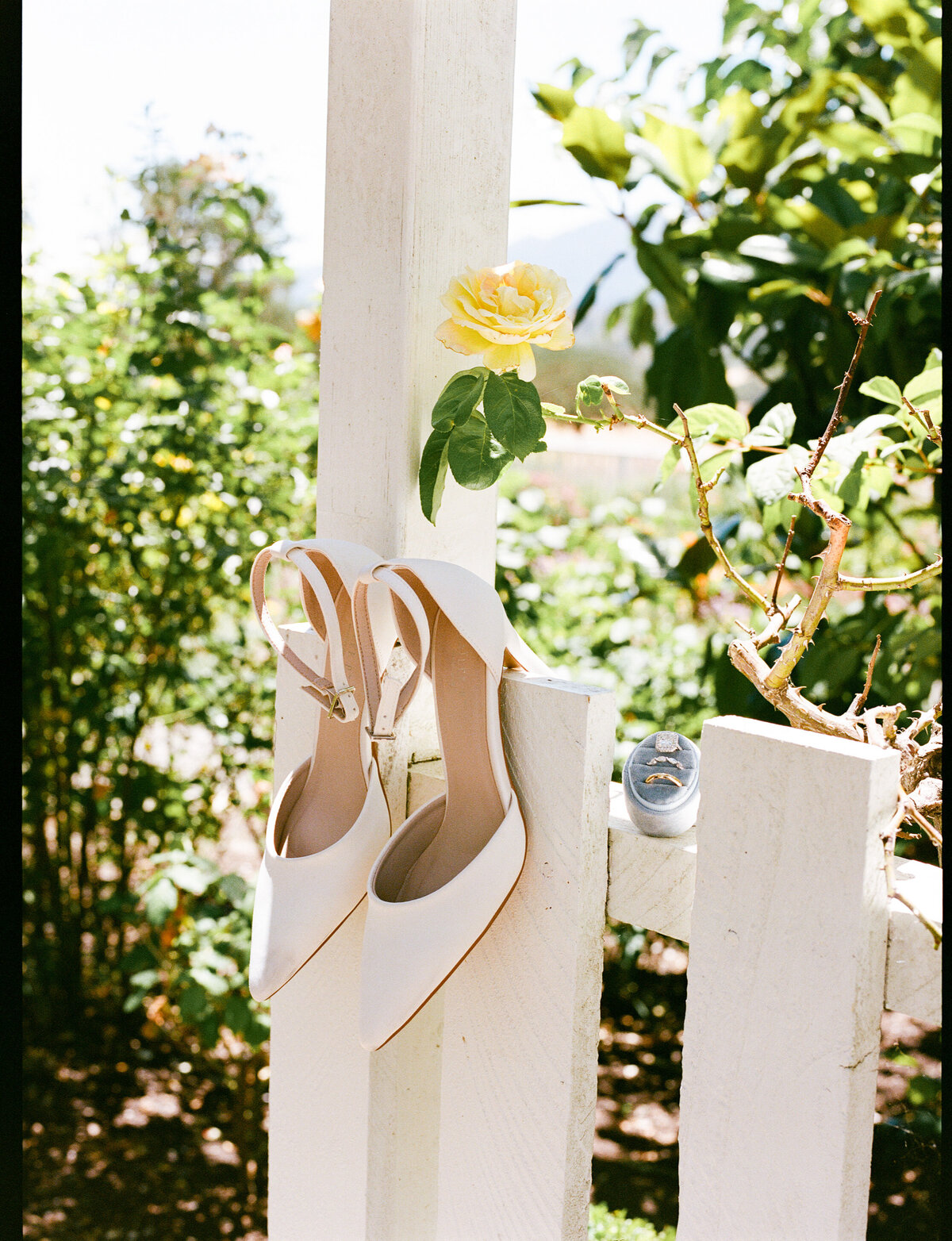 NatalieMax-Wedding-crystalkphotos-15