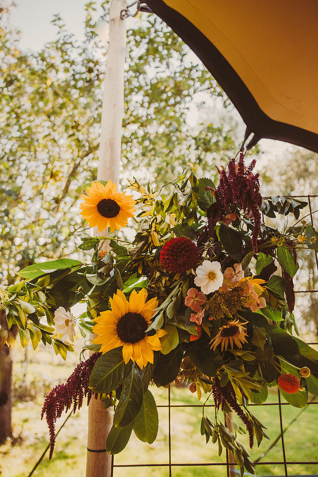 Laure&Nils_huwelijk_bewerkt_ceremonie_-167