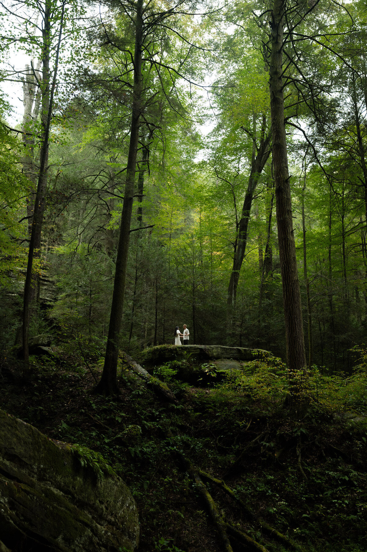 washingtonweddingphotographer-89