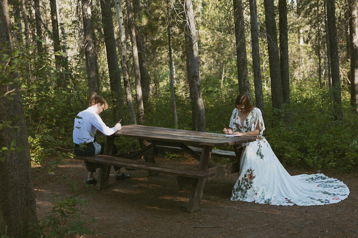 tanya-davids-photo-film-mesa-falls-yellowstone-rexburg-island-park-destination-storytelling-documentary-wedding-elopement-phototgrapher-idaho-6