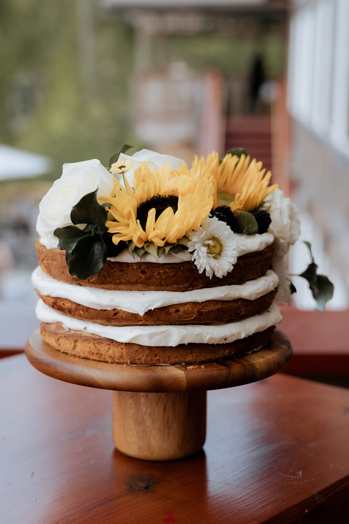 jamie-and-brian-chelsea-brown-photo-sunshine-coast-bc-wedding-photographer-167