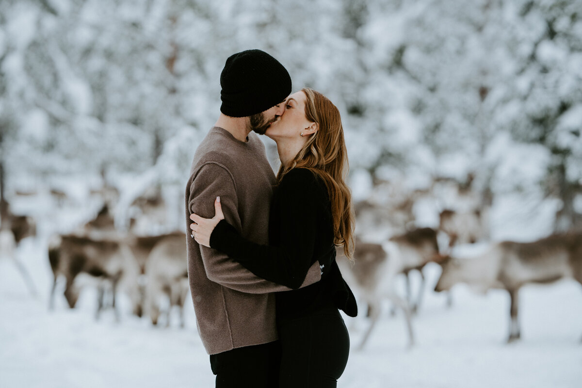 Couple photos in Finland with reindeer