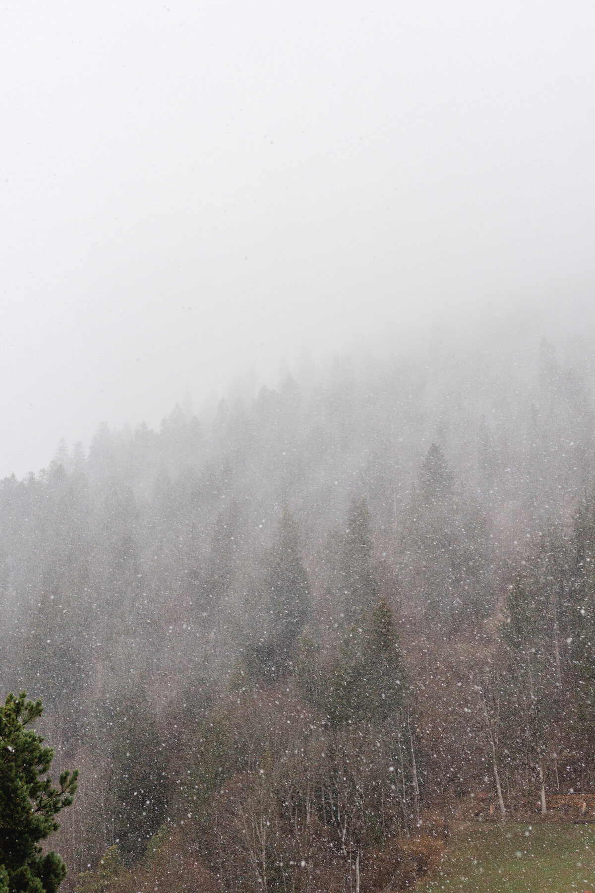 Winter-Wedding-Switzerland1-12