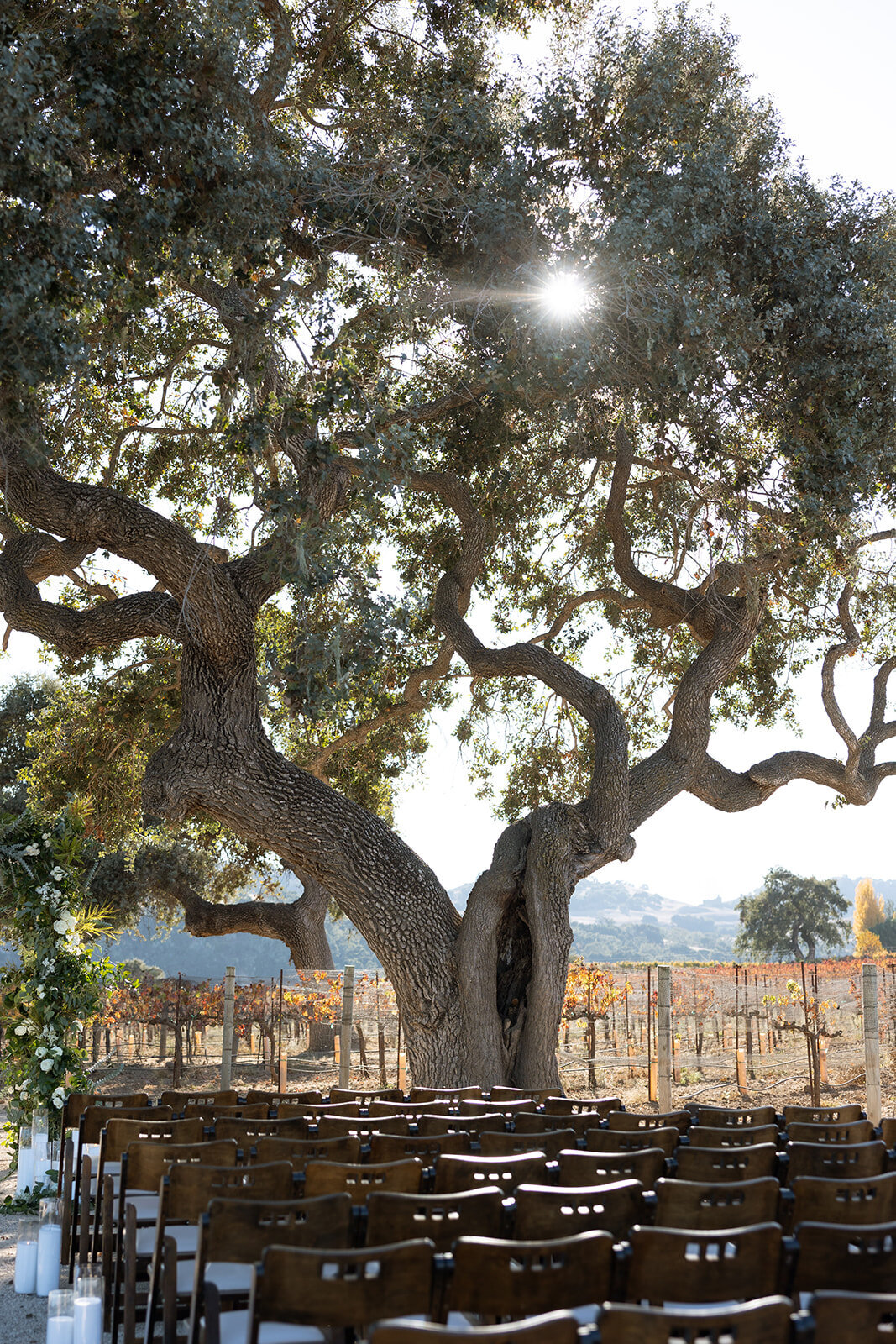 MayaandSam Santaynez Santaynezwedding sunstonevilla sunstonevillawedding sunstonewinery sunstonewinerywedding californiaweddingphotographer santaynezweddingphotographer (261 of 1723)