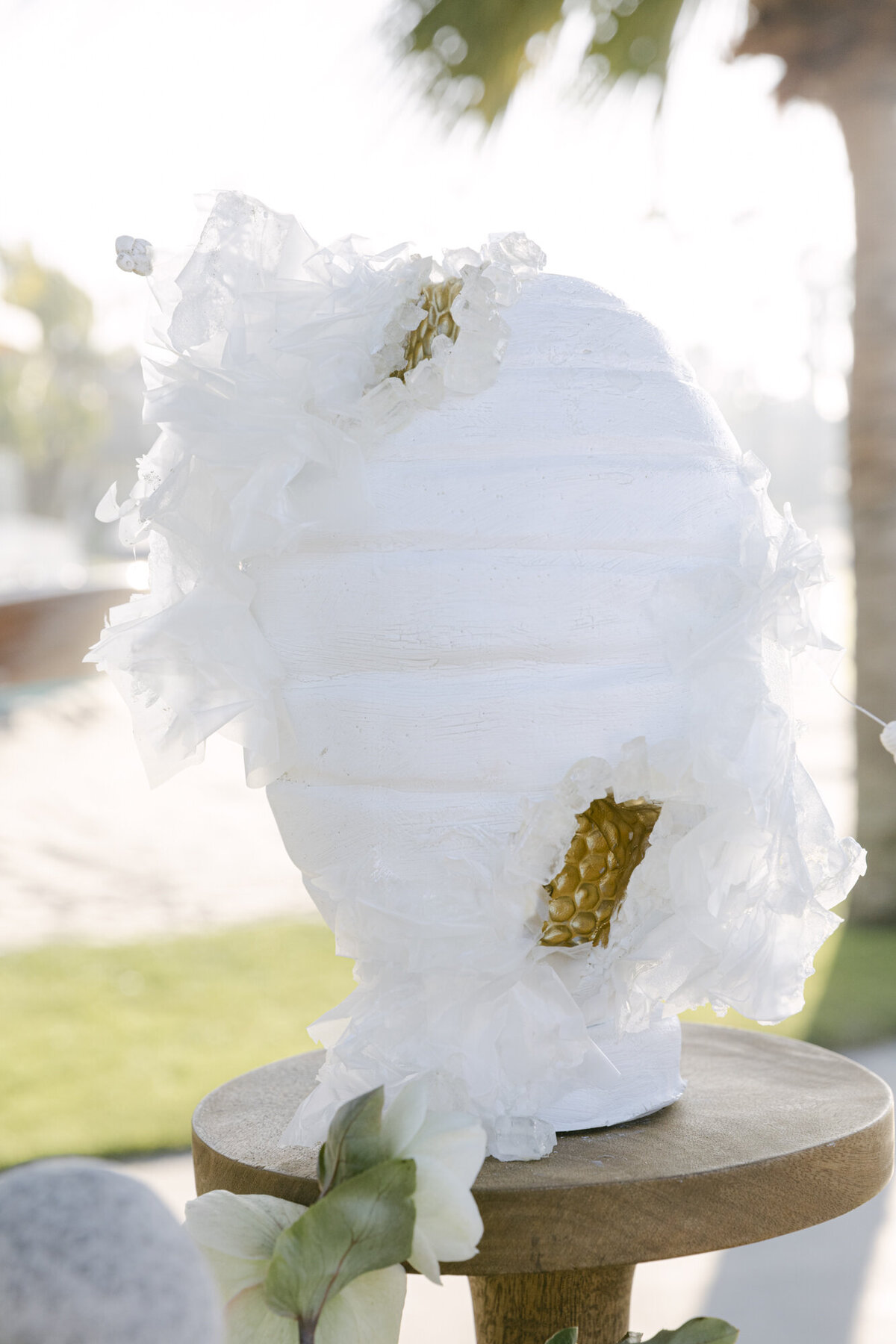 PERRUCCIPHOTO_HYBRID_5_52