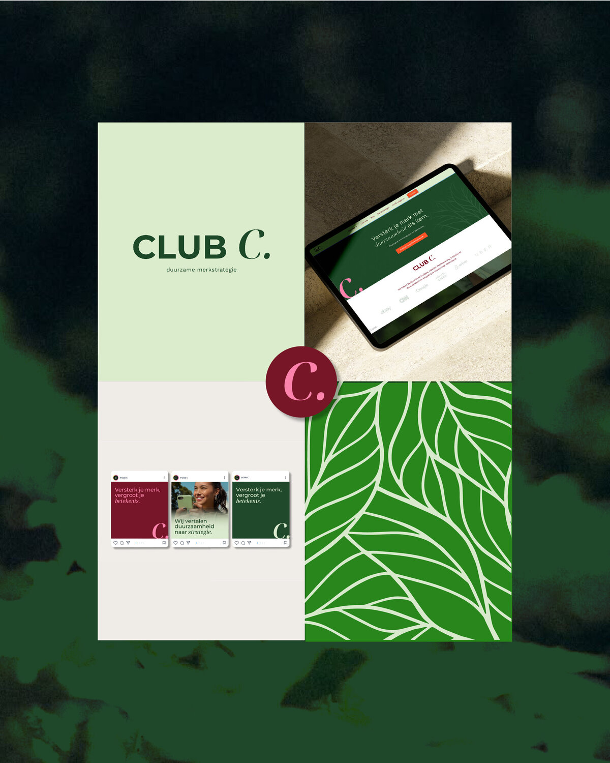 website-4;5-logo's_Tekengebied 1-01