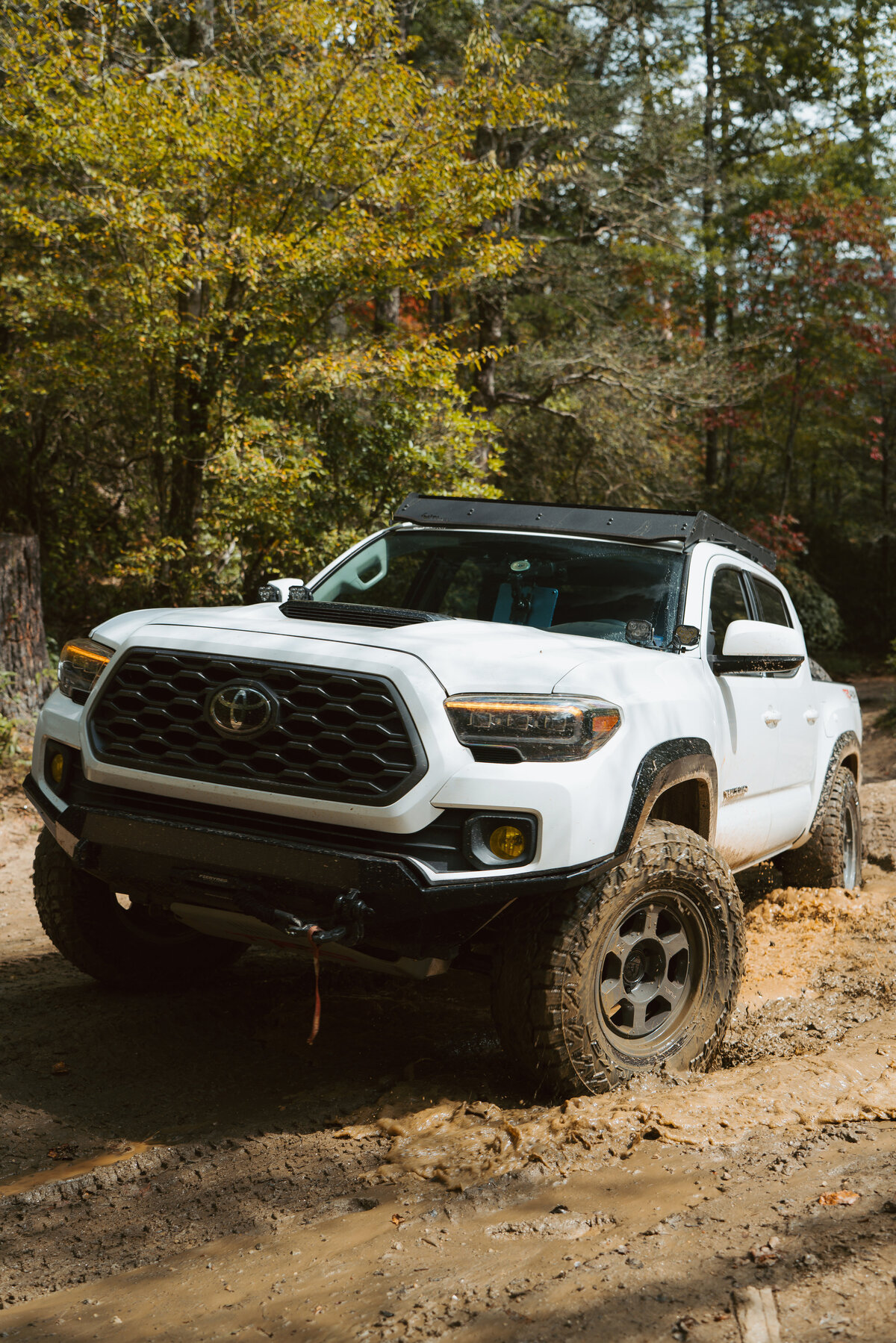 Tacoma-1 PS