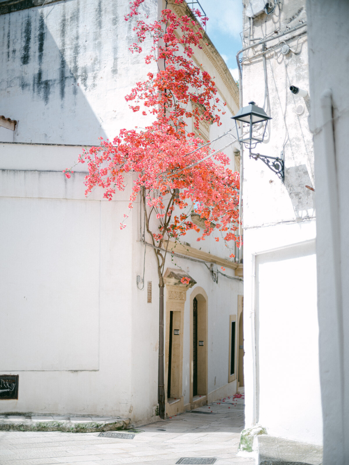 Masseria Angiulli Piccolo Wedding, Puglia15