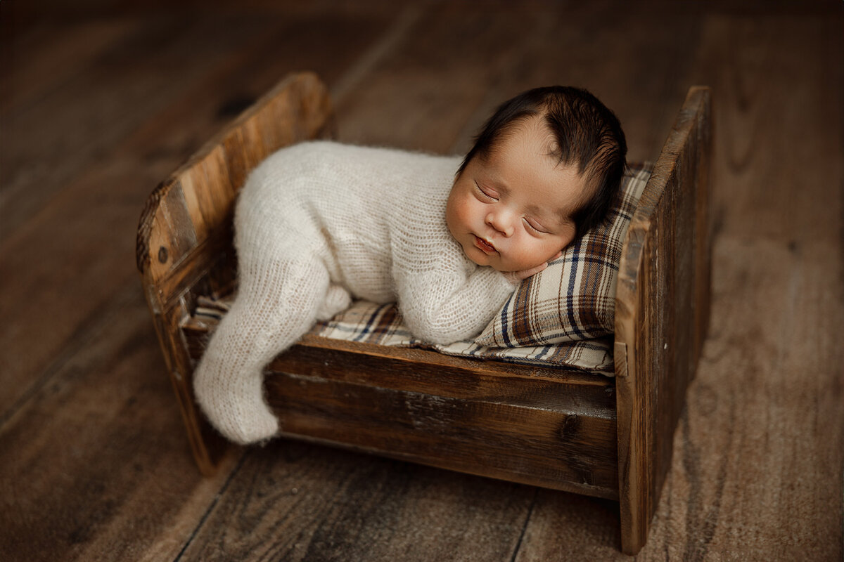 newborn photography north al