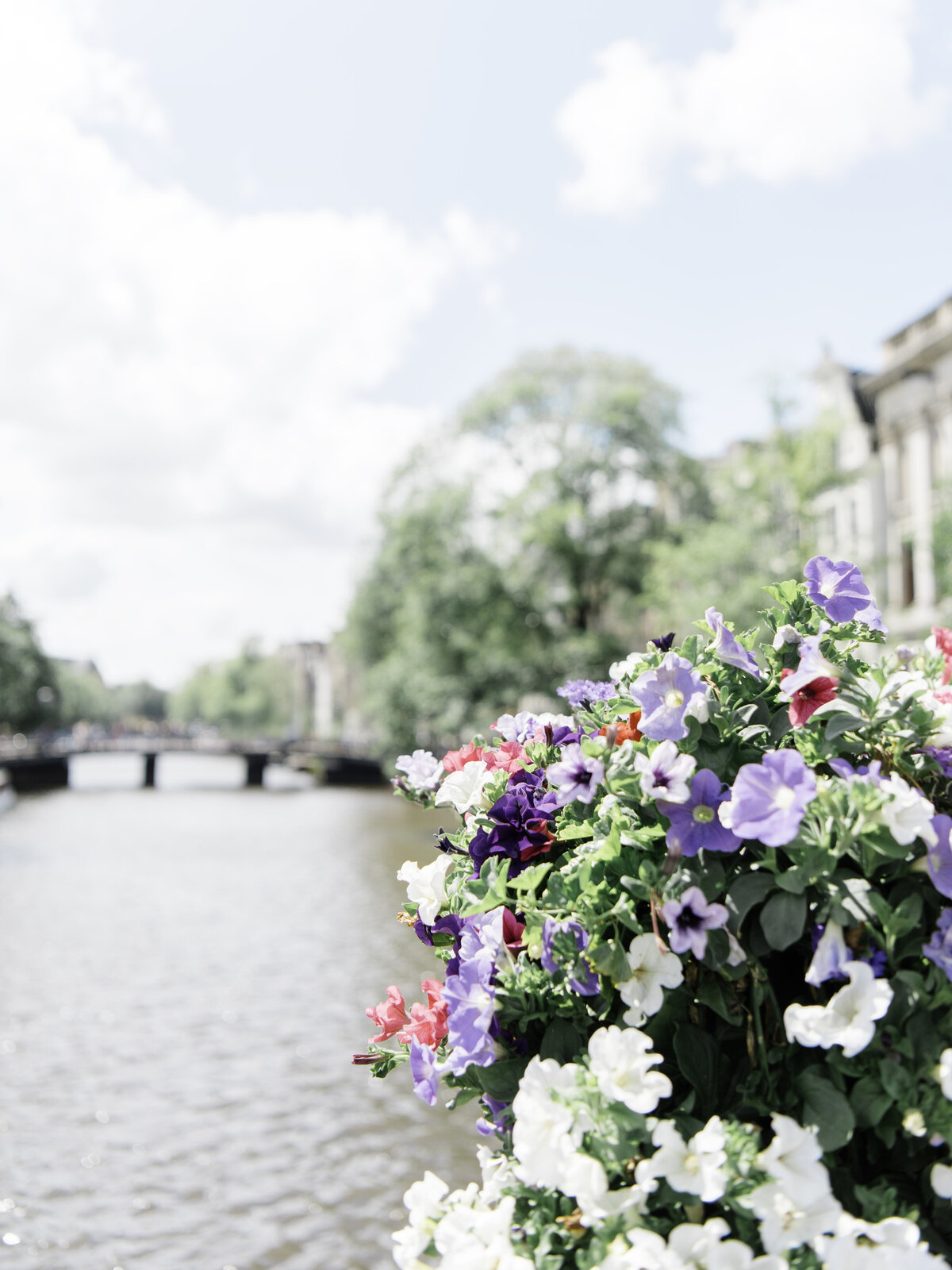 AmsterdamFlowers