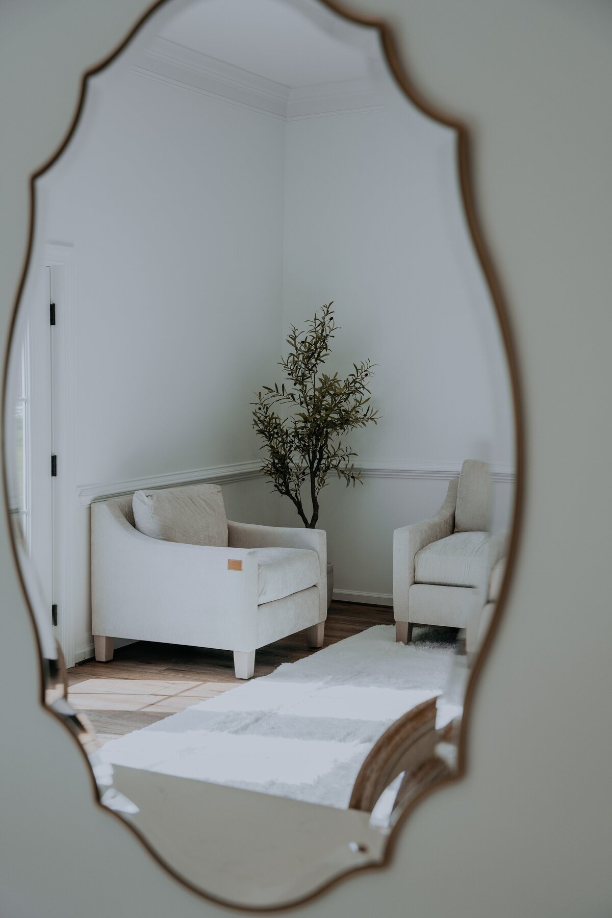 suite8_wildandroam