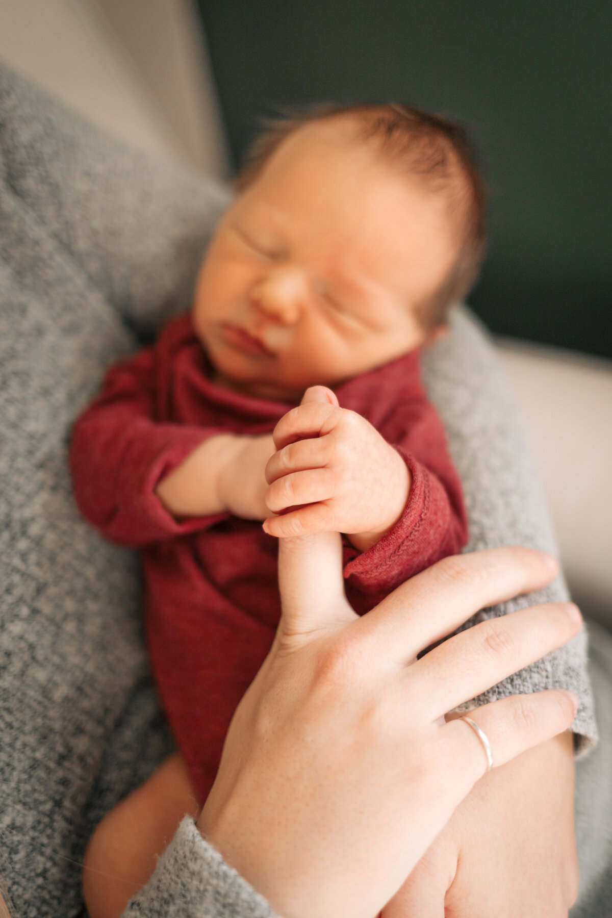NewbornDax-1264