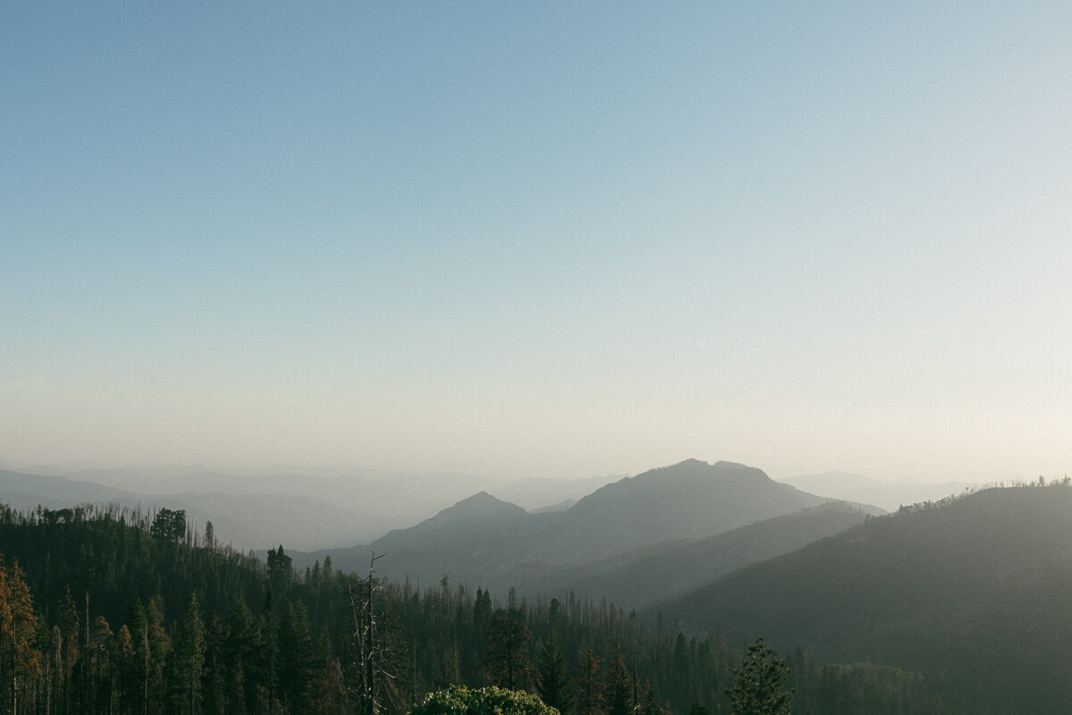 sequoianationalparkelopement-californiaelopement-310