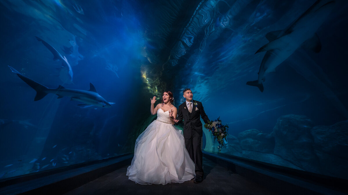 FoxBrazen_CuisonWedding_3171a