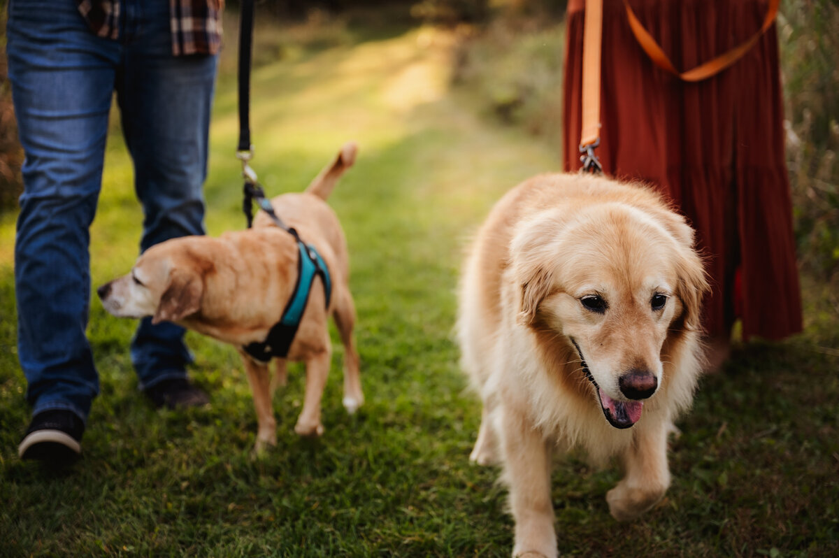 OliviaB_Fall2025_013