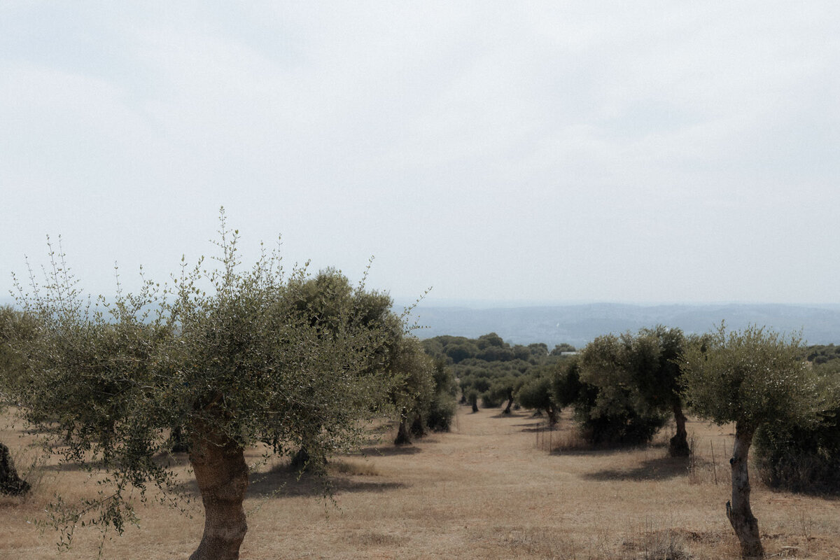 Mallorca Wedding-7