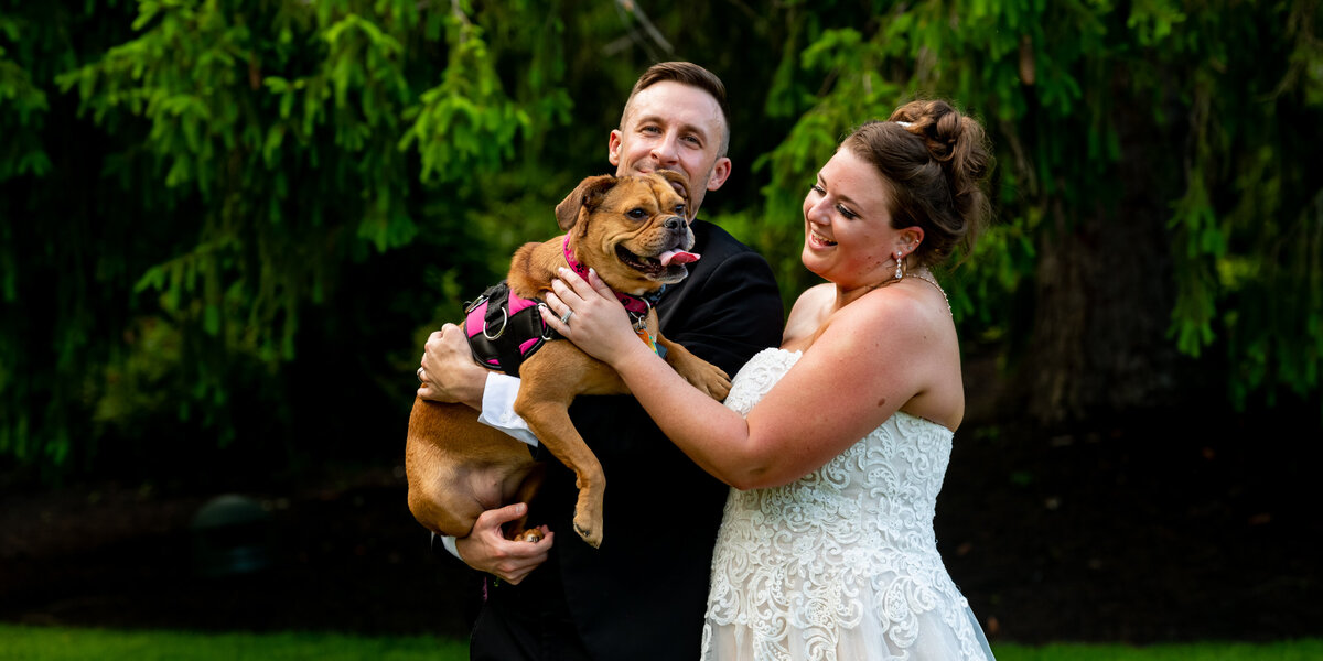dog wedding the William Penn