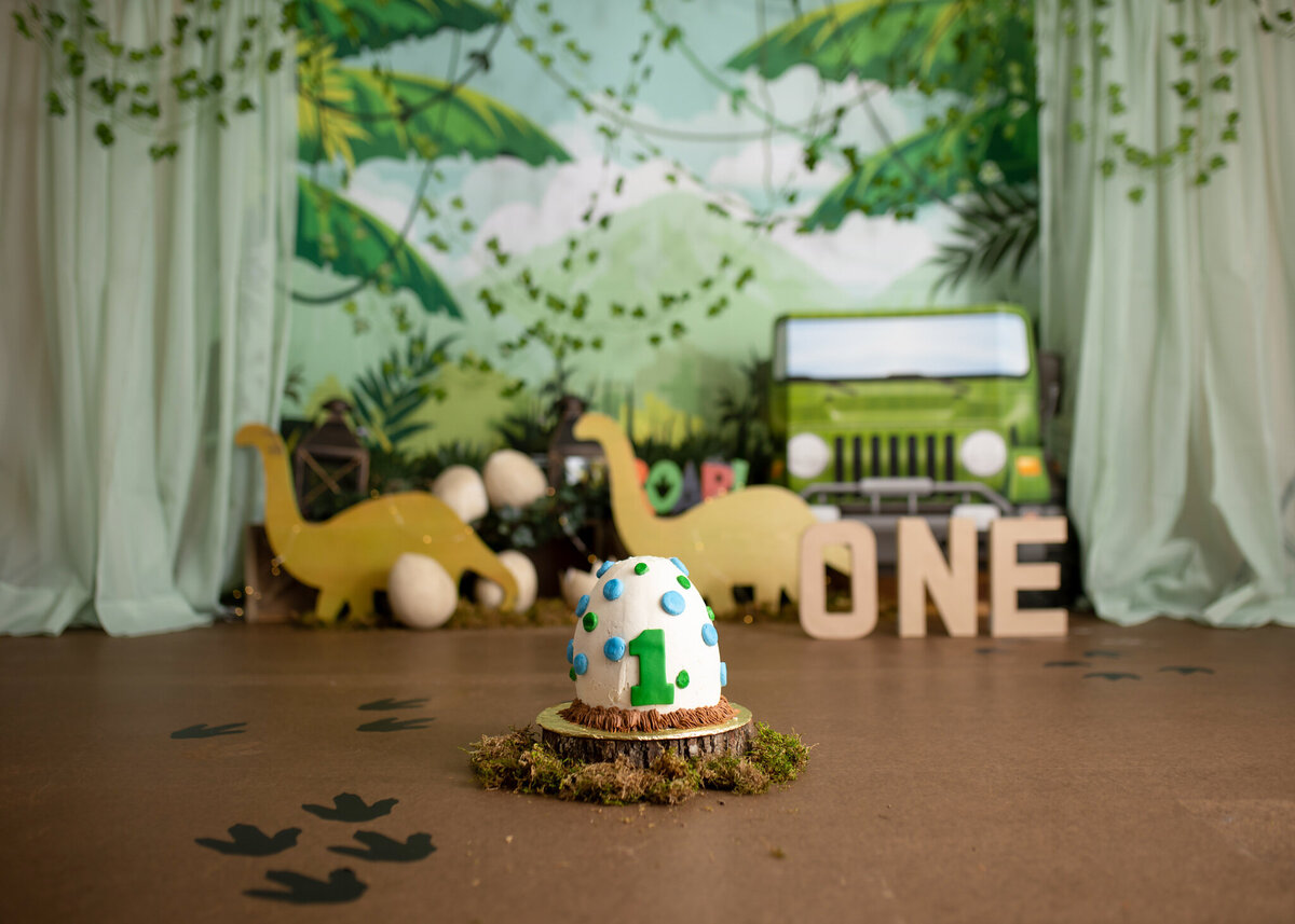Hampton Georgia cake smash photographer, Atlanta cake smash photographer, jonesboro Georgia cake smash photographer, Fayetteville cake smash photographer, Mcdonough cake smash photographer