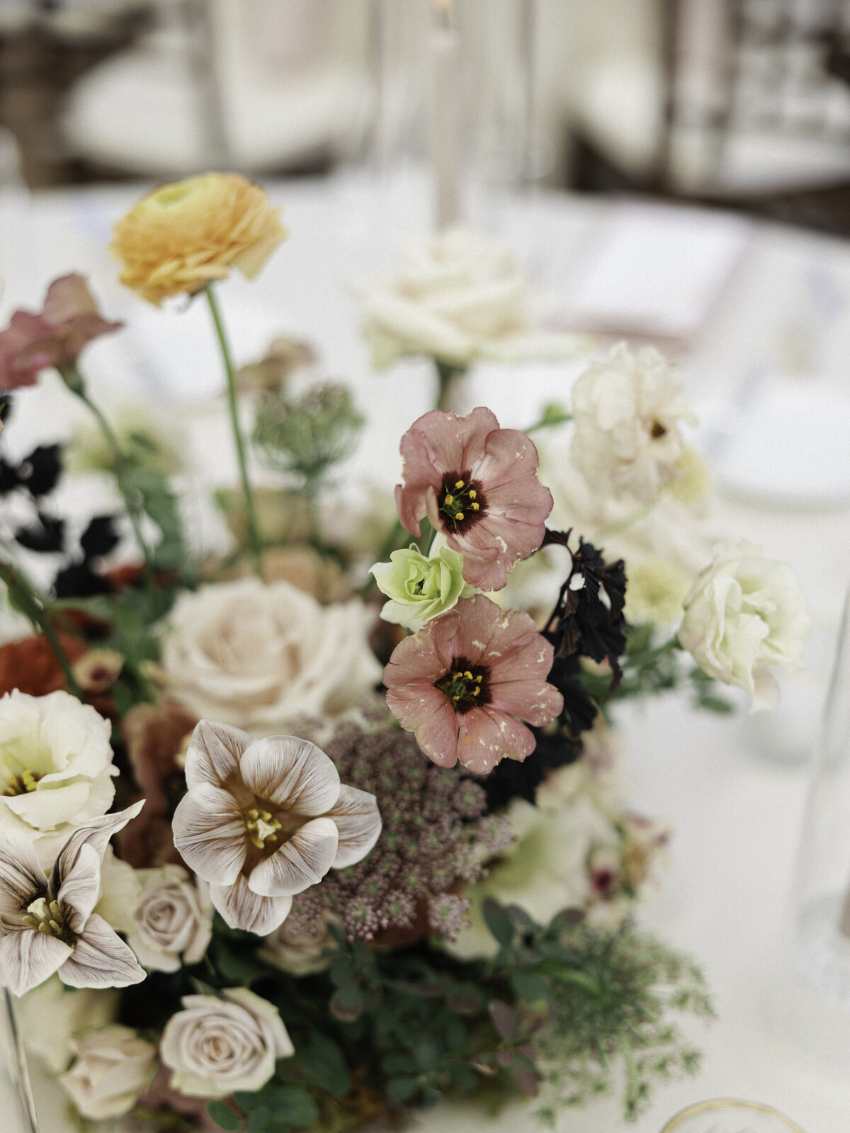 Anastasiia + Sam #-41