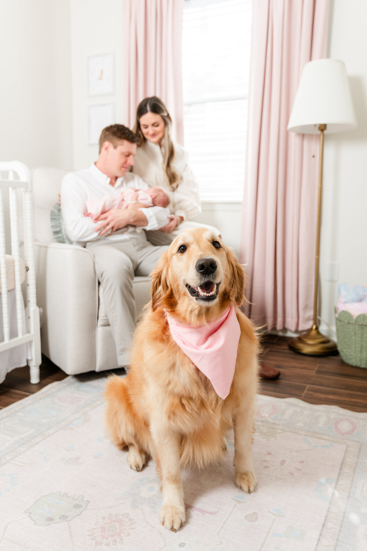 Sharrock Newborn 2025-52