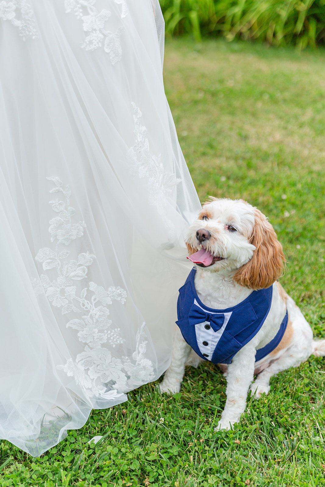 KEP-Bre-Chris-candlelight-farms-wedding-588