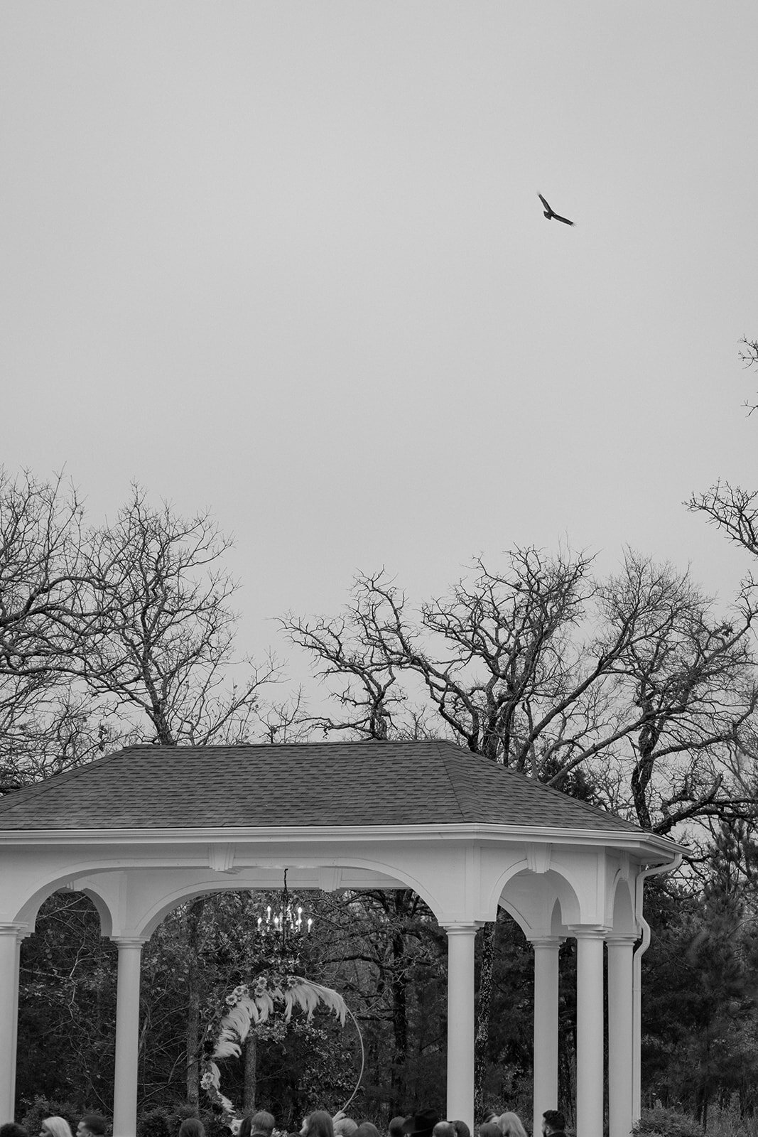Springs-Manor-Texas-Photographer22-276
