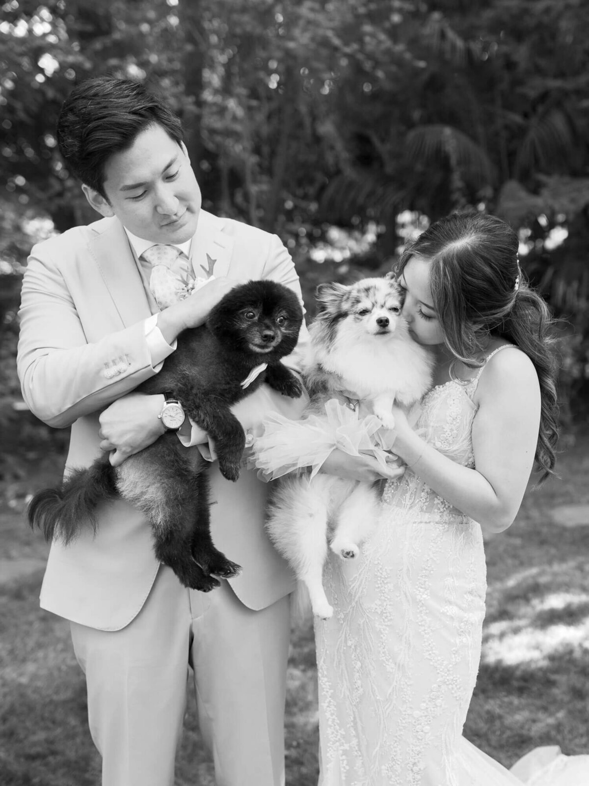 A couple lovingly hold two small dogs dressed in tutus. The bride kisses a dog while the groom cradles the other.