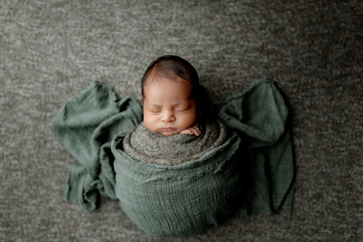 NWA newborn photographer, newborn portraits NW Arkansas