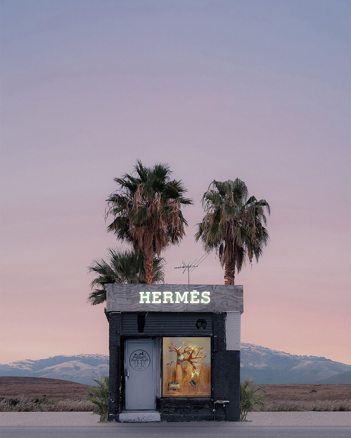 Czum, Hermes Palms _ 18x24 _ 30x40 _ 36x48 _ 39x52  copy