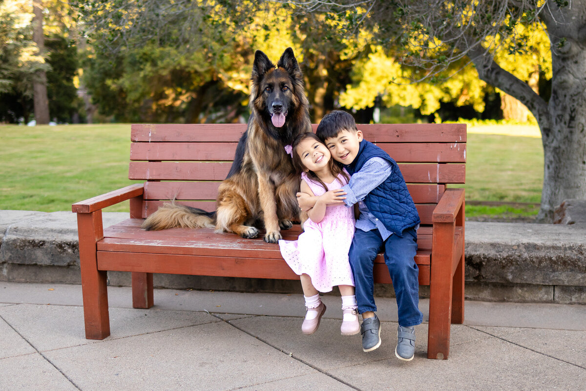 Bay Area Family Portfolio - Ellobelle Photography features a smiling brother and sister cuddling on a bench with their German Shepherd dog in a tree-lined park at golden hour.