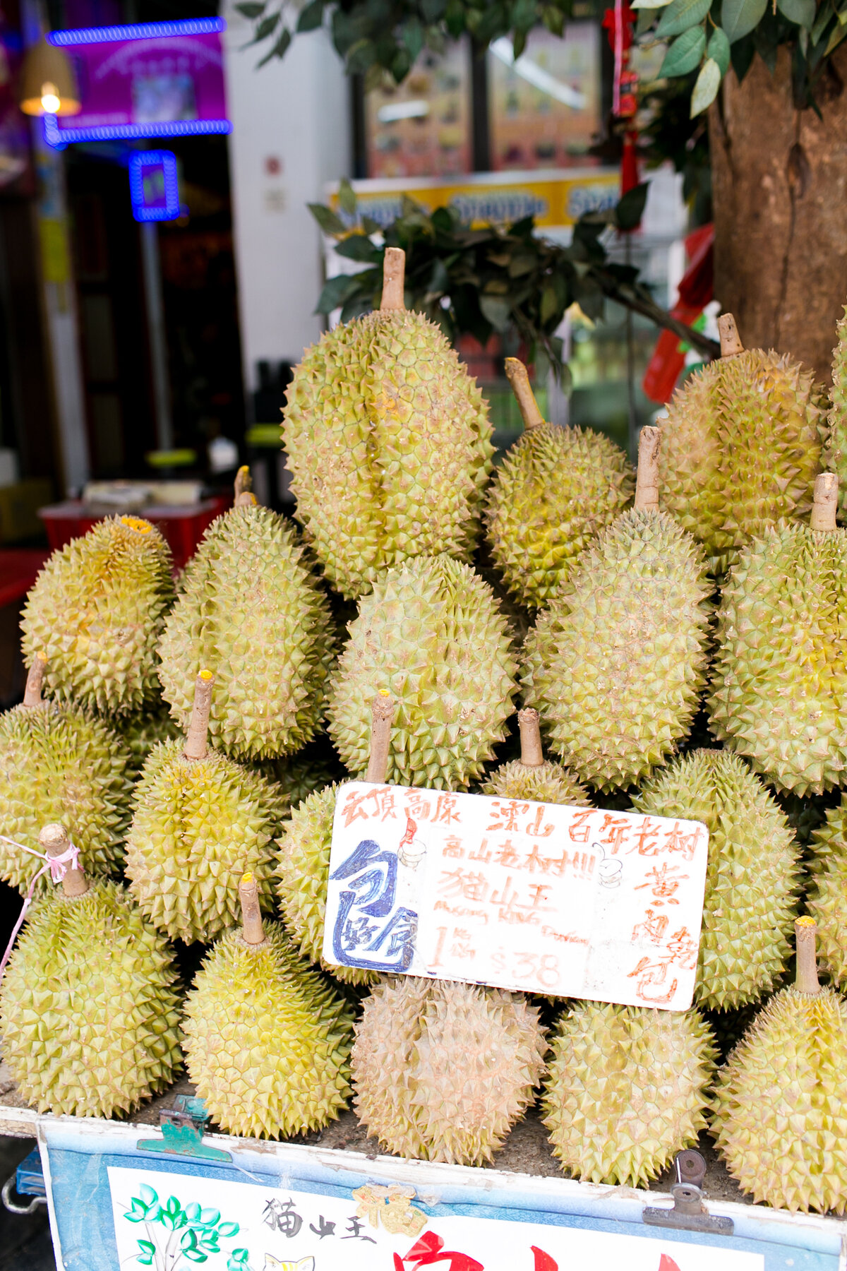 2017July-Singapore-0098