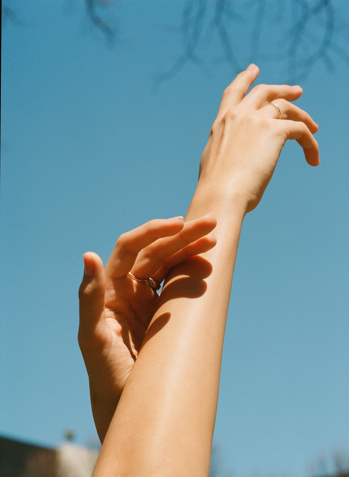 film-portraits-Will-DeGraw-Clever-Disarray-96