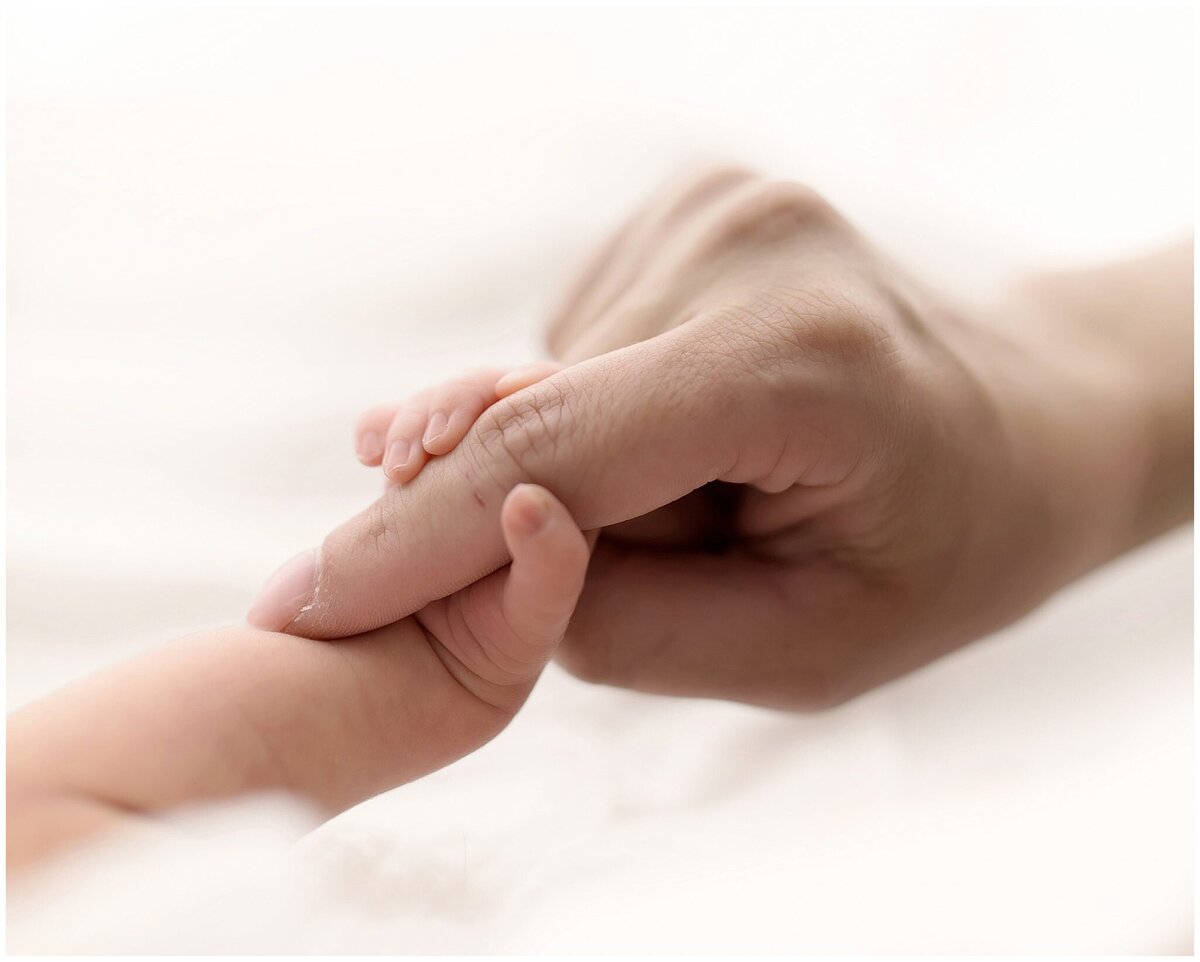 a Hudson mom holds newborn baby hand for a photo