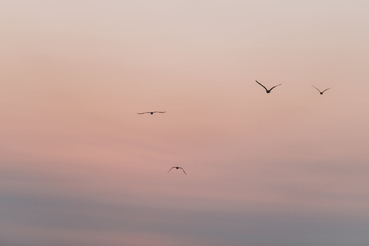 Caroline Morey Photography Coastal Portrait Beach Goddess Romantic Woman Pink Sunset Huntington Beach4M3A7272