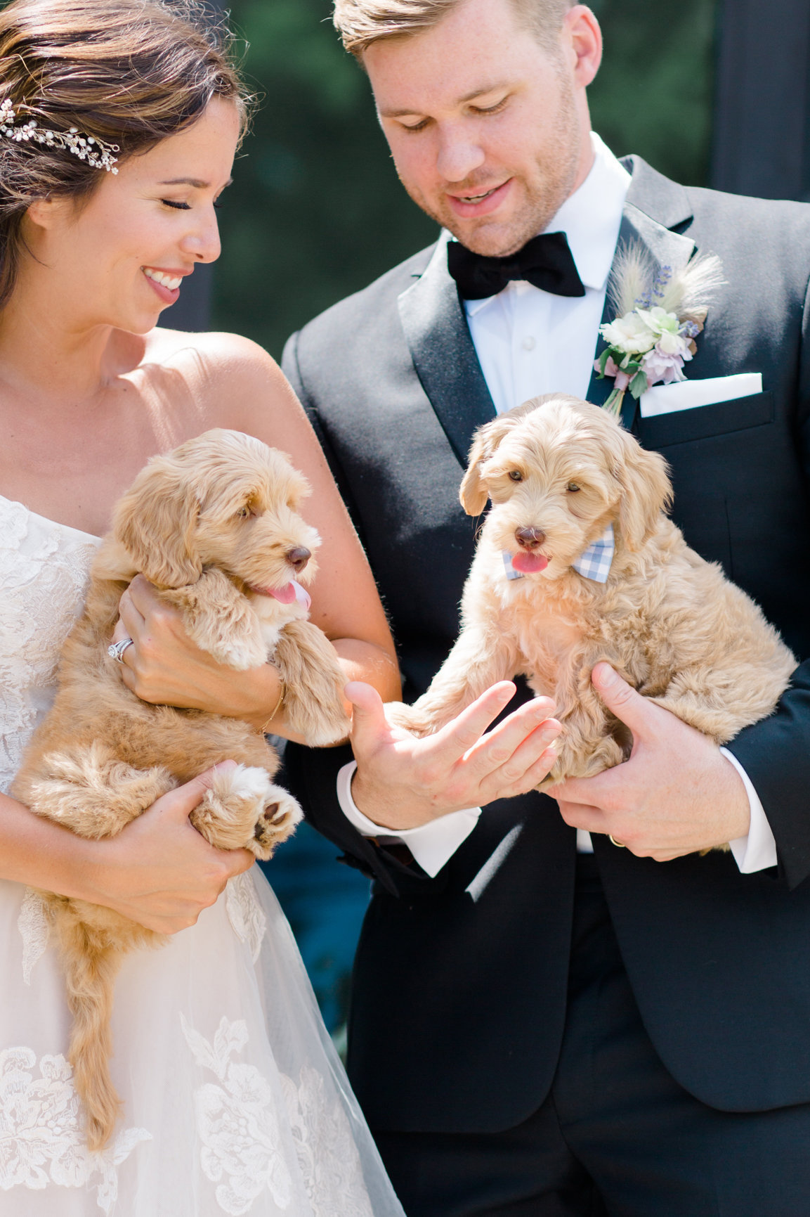wedding with puppies