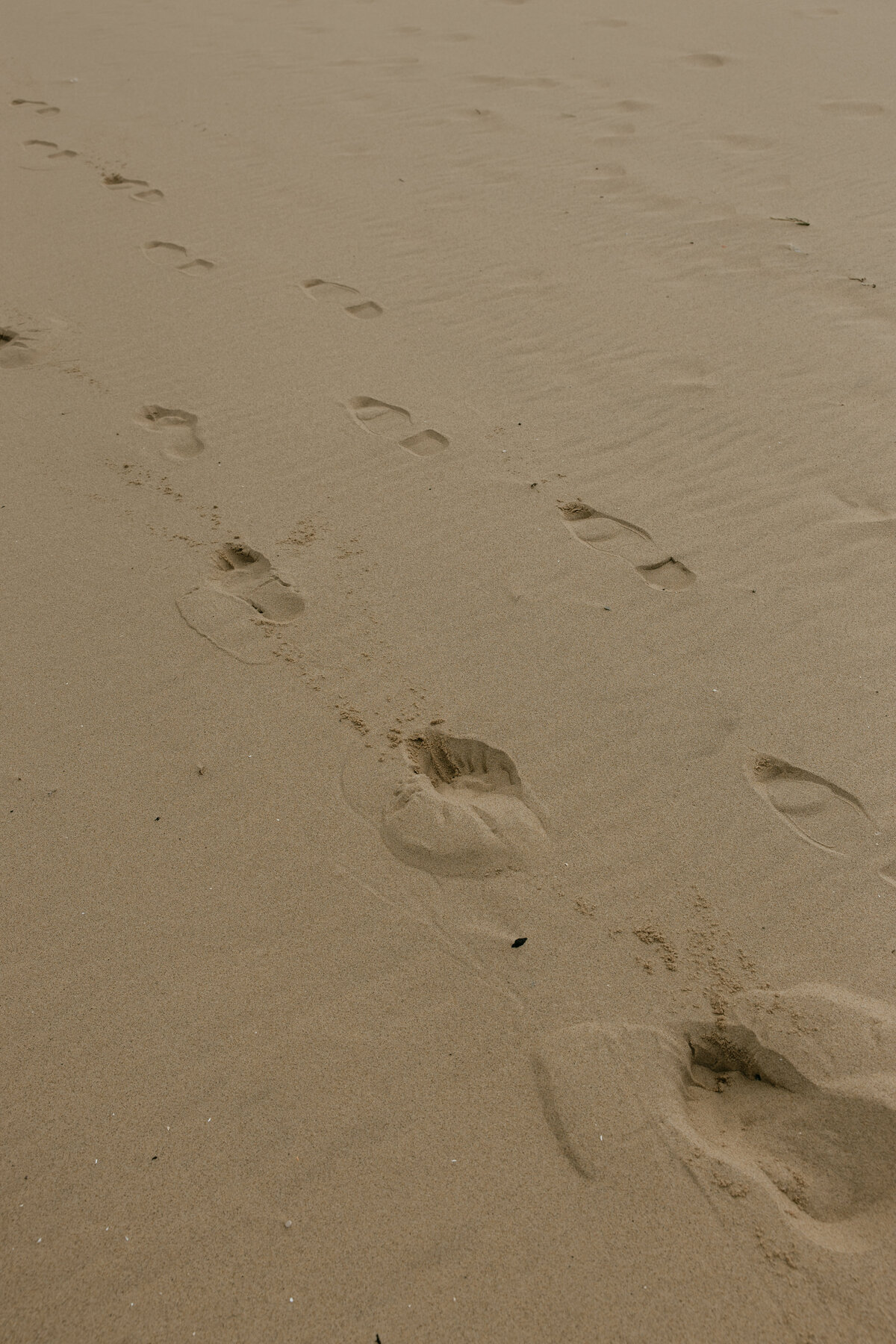 Abigail Anne Photography Colorado and Chicago Wedding and Couples Photographer — Portfolio Featured Story — Addy and Peter's Wedding 122