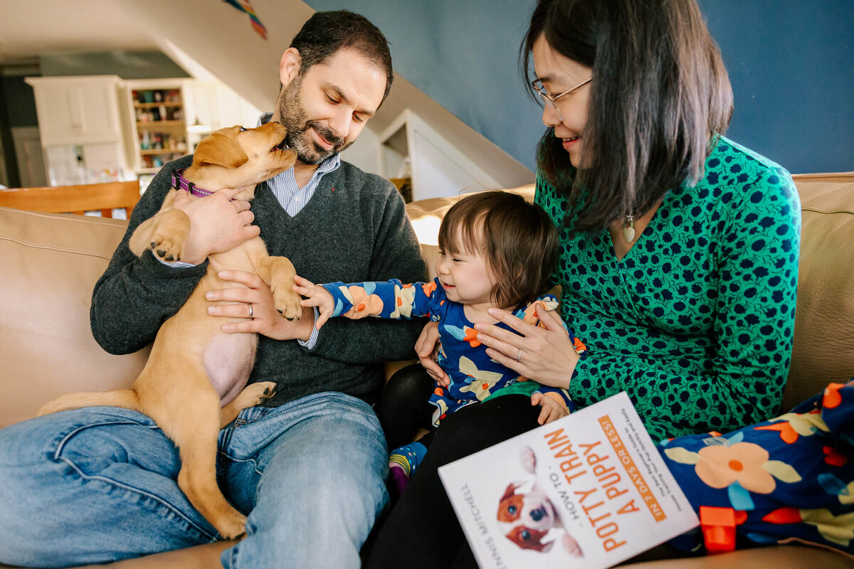 Father and mother introduce a golden retriever puppy to their daughter, who is licking the father's cheek. She peers up at the puppy with cautious interest. A puppy training manual is on the mother's lap.