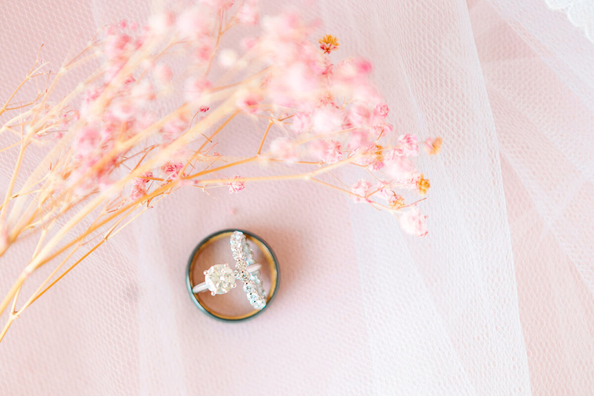 Charlotte-Wedding-Photographer-3
