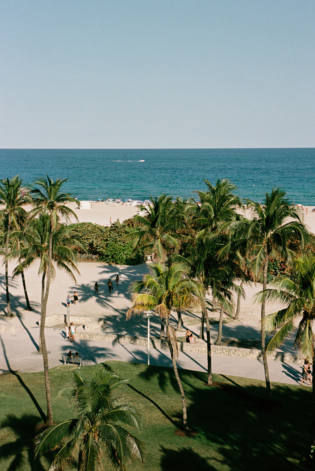 12_Film