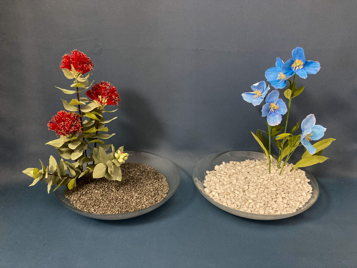 Meconopsis and ohia lehua in paper