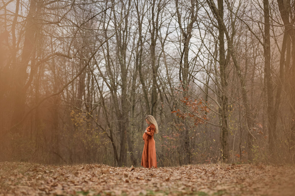 Pittsburgh Maternity Portrait Photographer 1
